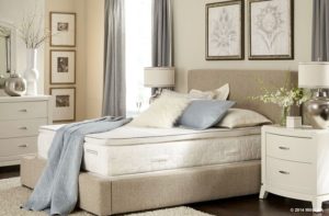 Serenity 13" Memory Foam Mattress