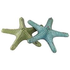 5H471 Starfish
